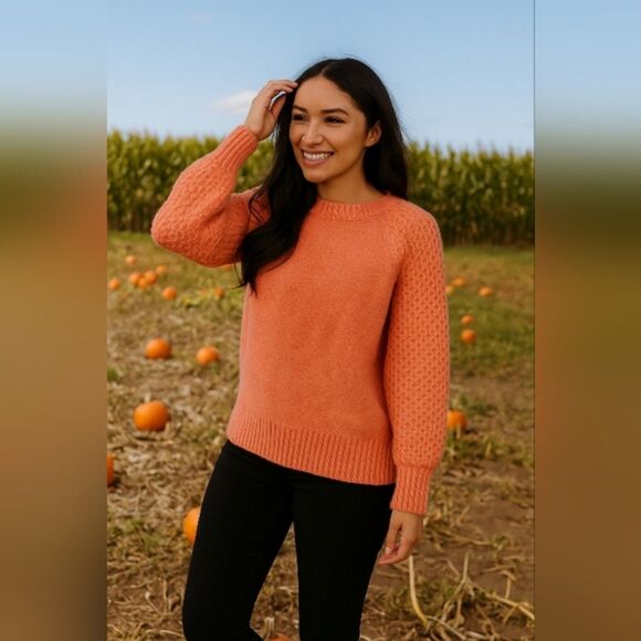 J.Crew Textured Knit Sweater S Coral Orange Wool Blend Alpaca Pullover Fall Cozy - Picture 1 of 8